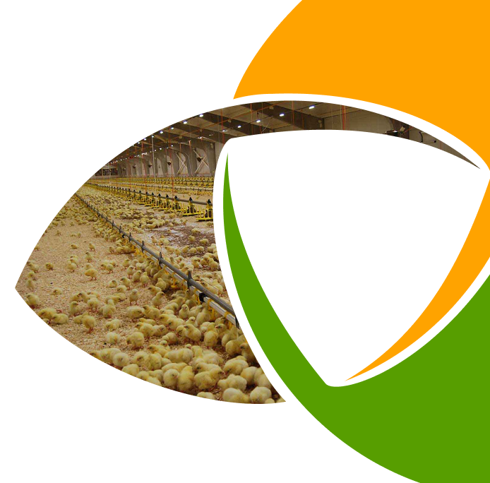 Recycling Technology