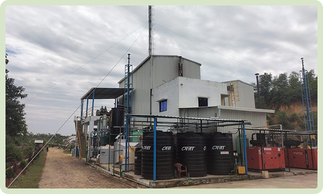 Green fuels and chemicals plant